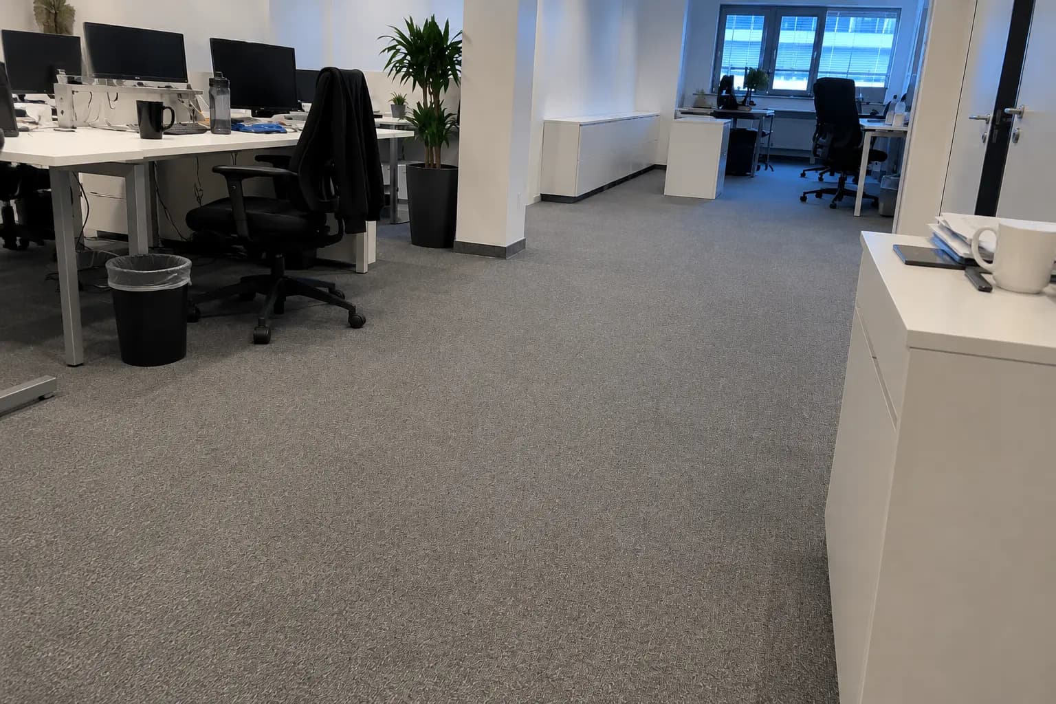 Sauberer Teppichboden in einem Großraumbüro mit Schreibtischen in Rostock
